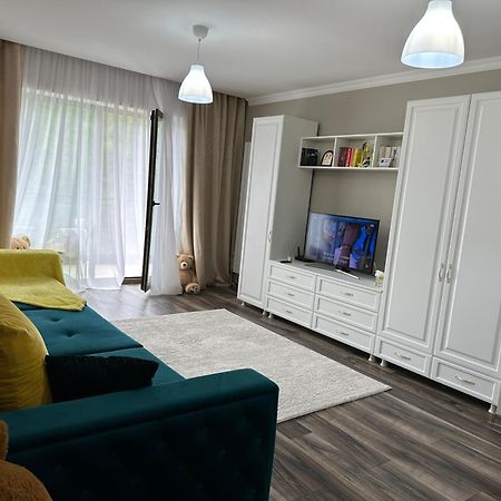 Silvelen Mountain View Apartment Брашов Екстер'єр фото