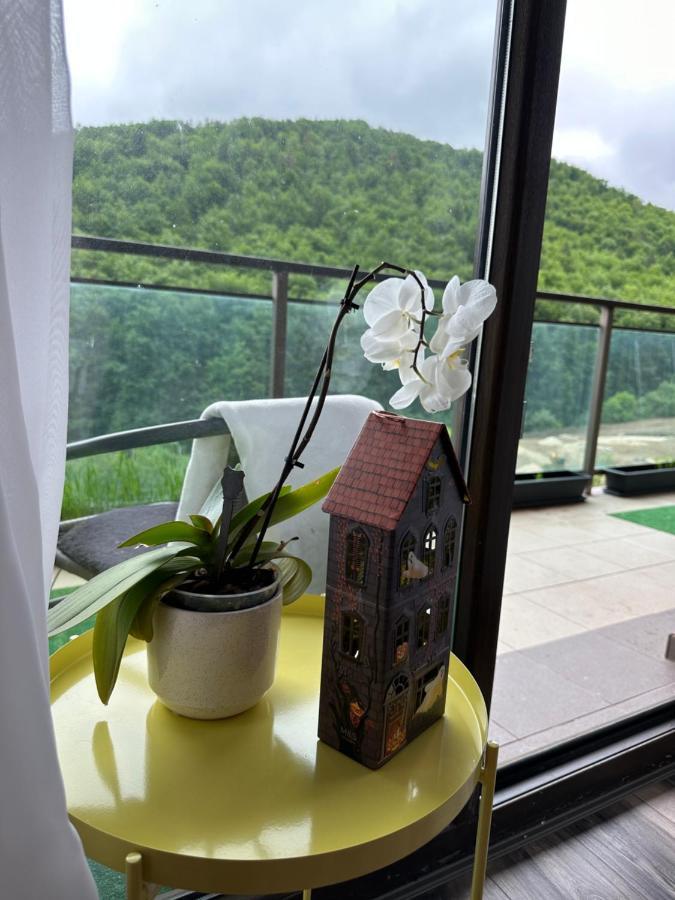 Silvelen Mountain View Apartment Брашов Екстер'єр фото
