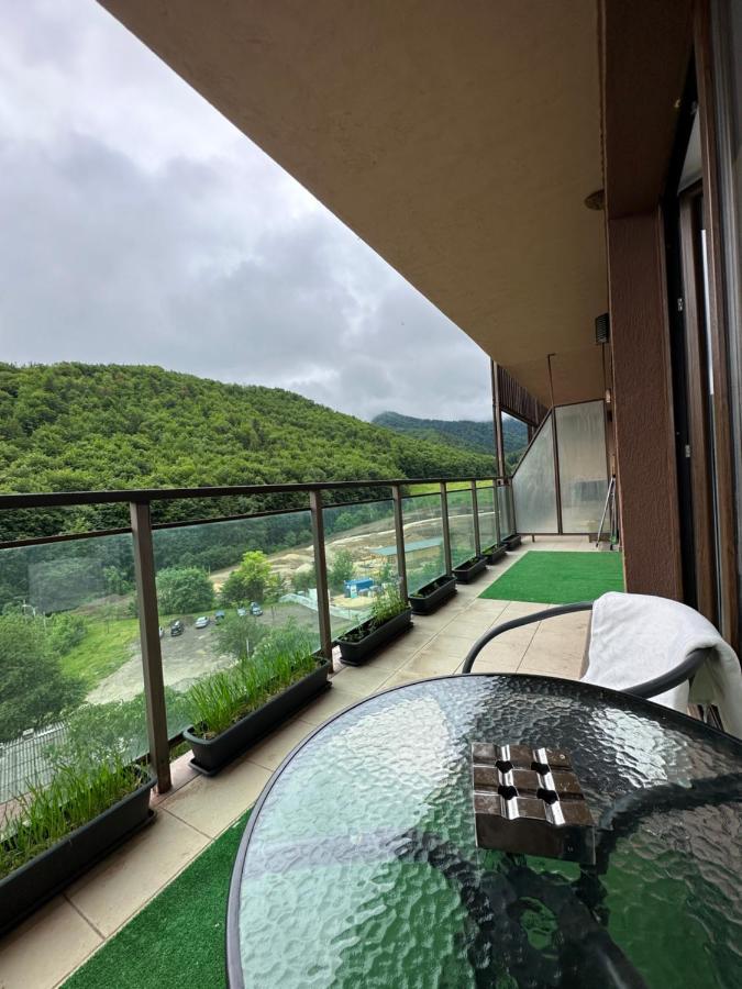 Silvelen Mountain View Apartment Брашов Екстер'єр фото