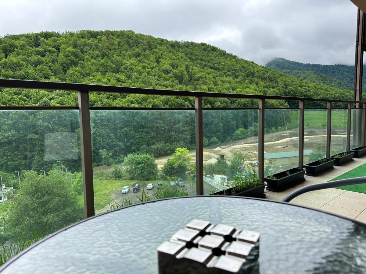 Silvelen Mountain View Apartment Брашов Екстер'єр фото